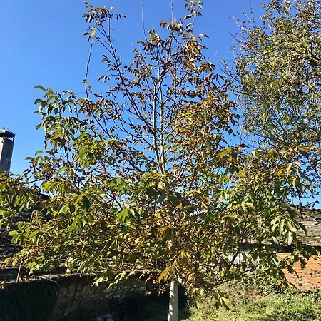 Casa Da Forxa, Renovated Former Forge/ Smithy Lugo