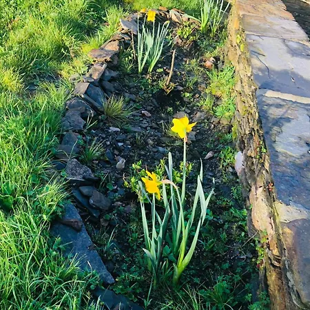 Casa Da Forxa, Renovated Former Forge/ Smithy Casa vacanze