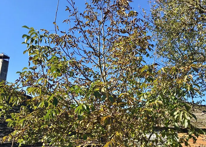 Casa Da Forxa, Renovated Former Forge/ Smithy ルーゴ