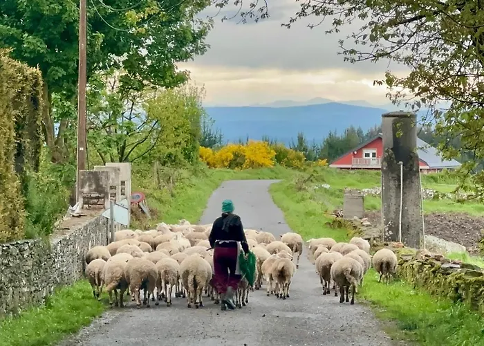 Casa Da Forxa, Renovated Former Forge/ Smithy * ルーゴ